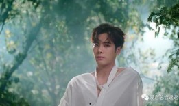 吴某某爆料名单最新,娱乐圈风云再起，明星命运悬于一线