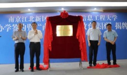 龙湾一号爆料最新消息新闻,揭秘神秘项目背后真相