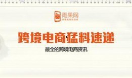 跨境电商爆料最新,揭秘2023年热门爆款产品与市场趋势
